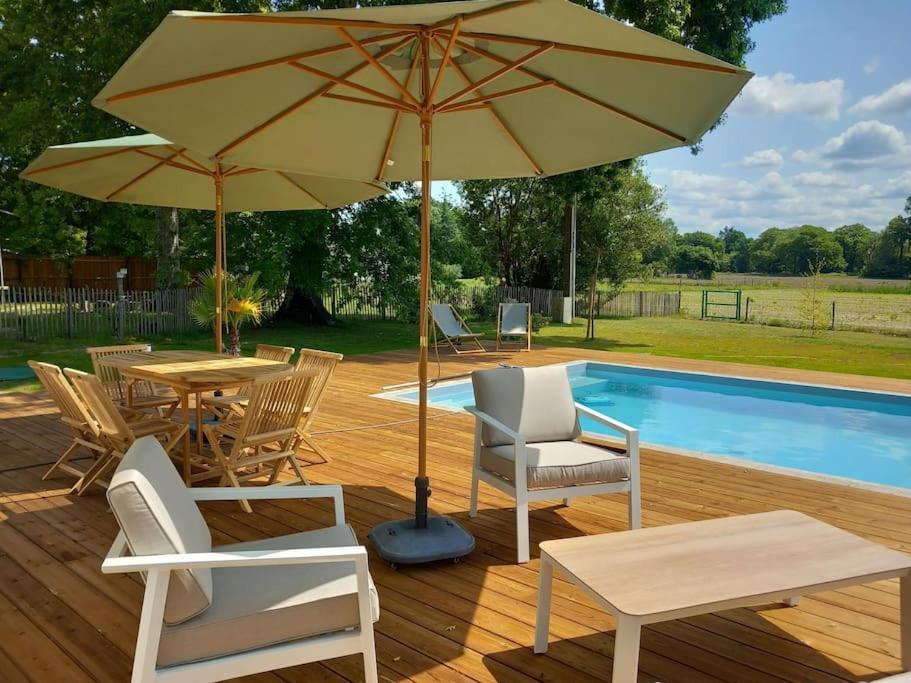 Maison Neuve Avec Piscine Chauffee, 4 Kms De Contis Plage Saint-Julien-en-Born Εξωτερικό φωτογραφία
